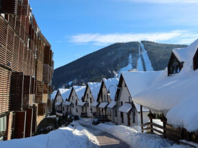 Apartment Čertovka by Interhome, Harrachov